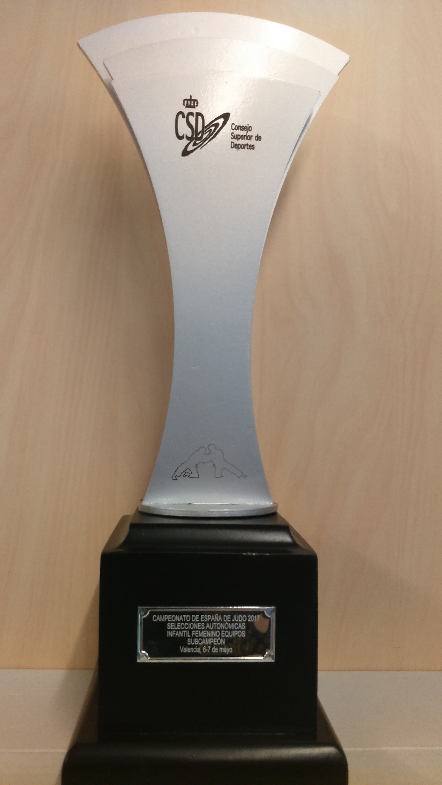 10 Medallas para los Navarros en el Campeonato de España de Judo Infantil y Cadete_Valencia 06-05-17. Resultados. Fotos.